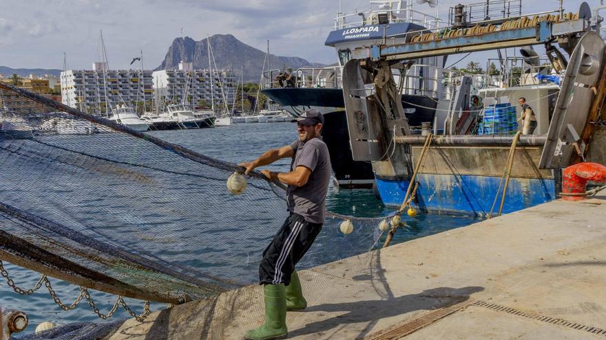 Primer día de la flota de arrastre de Alicante con las nuevas redes: 9 toneladas de pescado y marisco pequeño se quedan en el mar