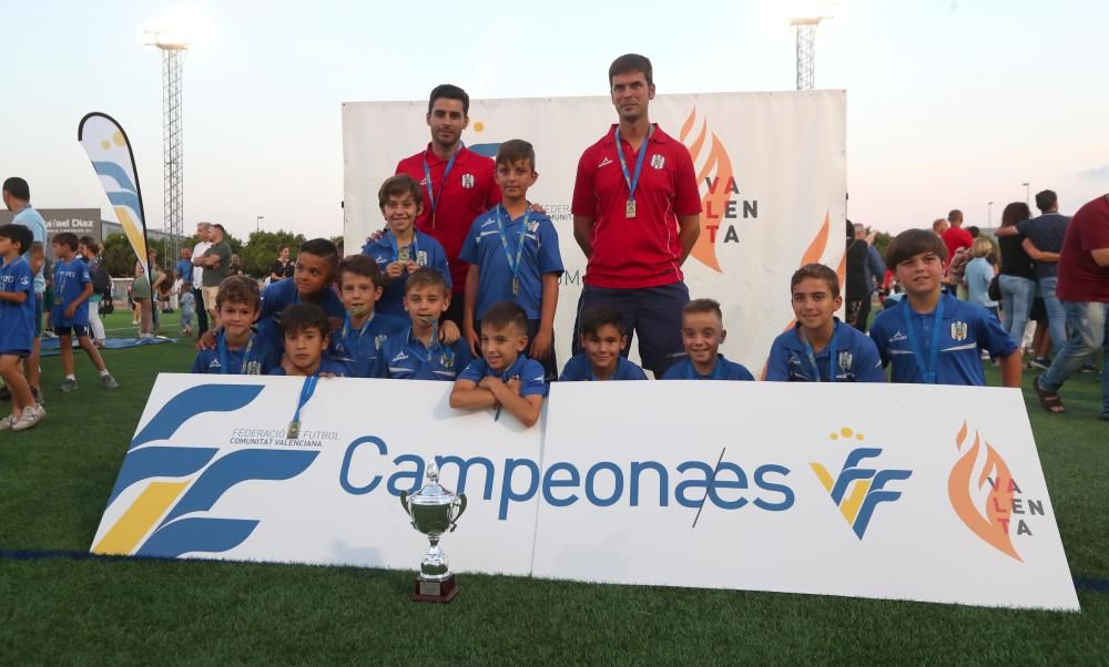 Campeones futbol 8