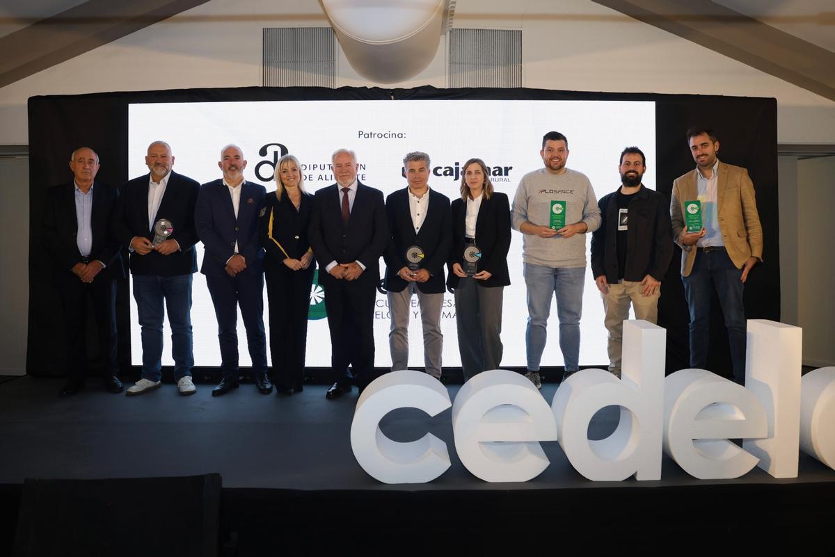 Foto de familia con los premiados durante la gala de Cedelco en Elche