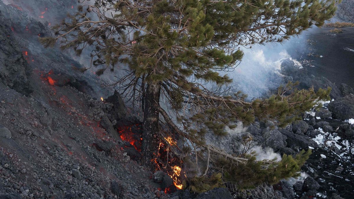 La lava fluye sobre la nieve en el volcán Etna