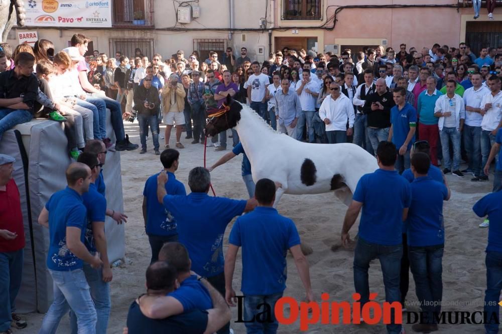 Día uno de mayo, entrada de caballos al Hoyo