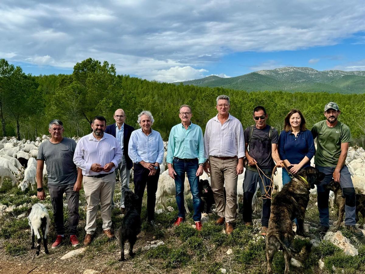 Vicente Martínez Mus resalta losbeneficios de la actividad ganadera extensiva en la prevención de incendios forestales.