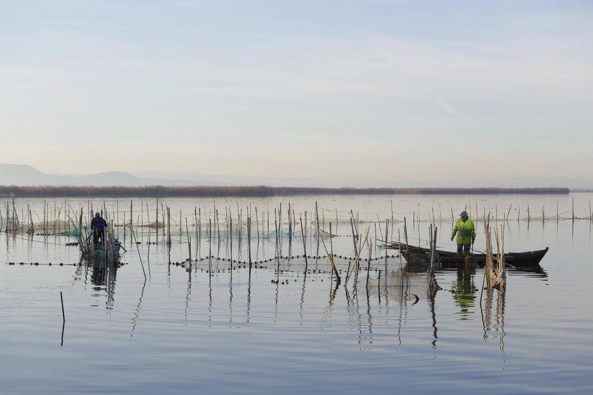 Pescadores faenando en el lago de l'Albufera.