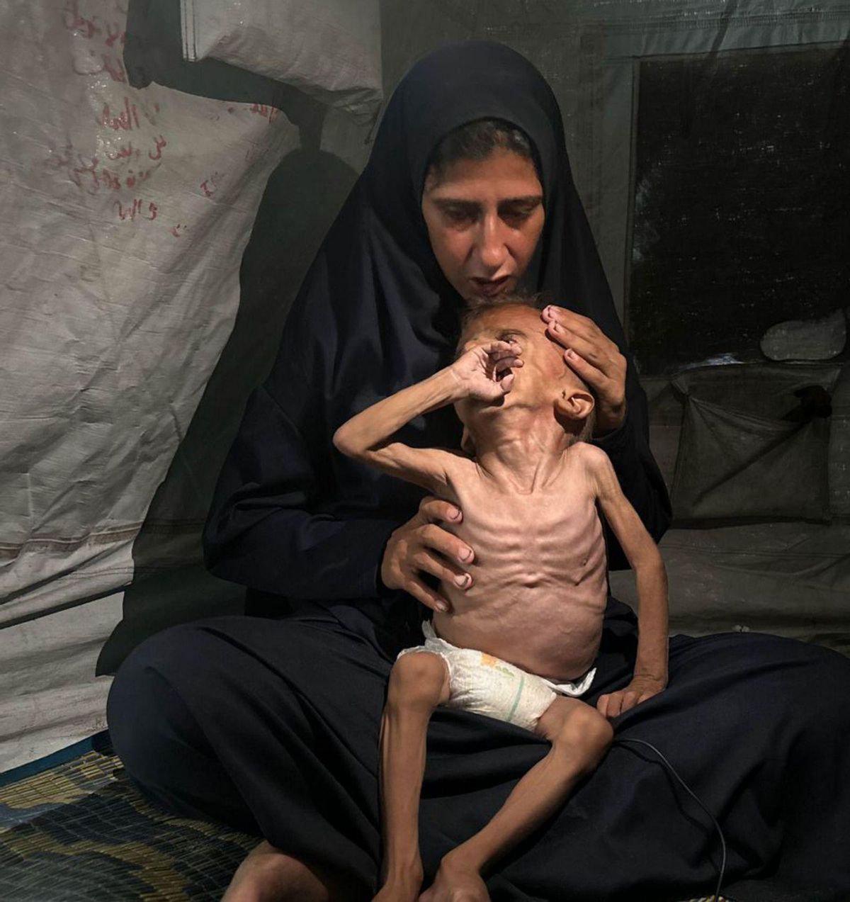 Israel agreuja la fam a la Franja amb la destrucció del seu cultiu