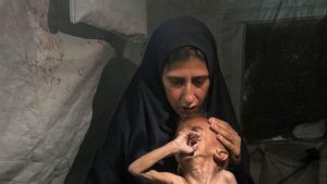 Israel agreuja la fam a la Franja amb la destrucció del seu cultiu