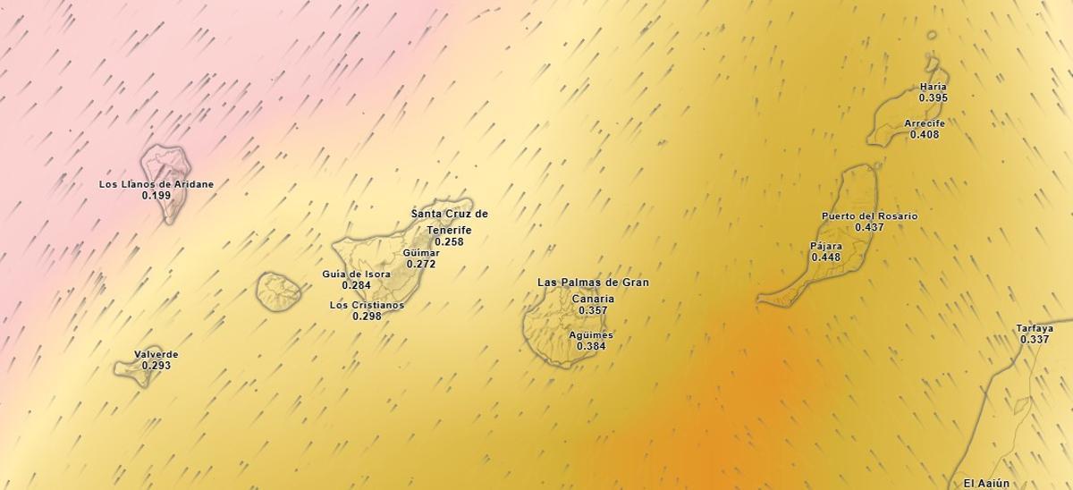 Calima durante el domingo en Canarias