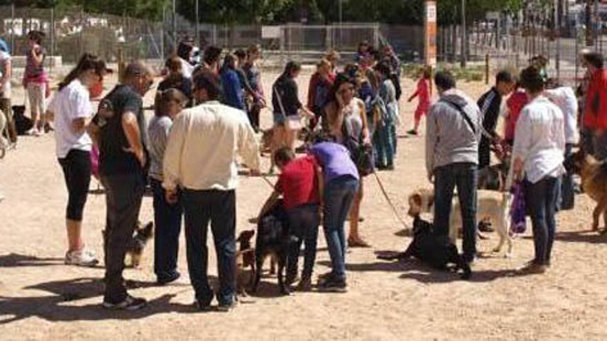 San Vicente abre 16 expedientes a propietarios de perros peligrosos