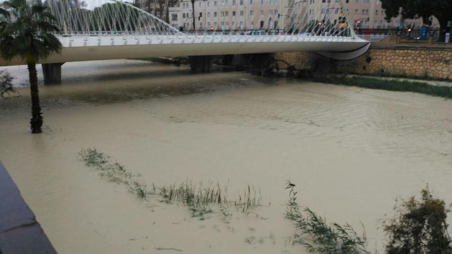 El río Segura, a su paso por el Reina Sofía.