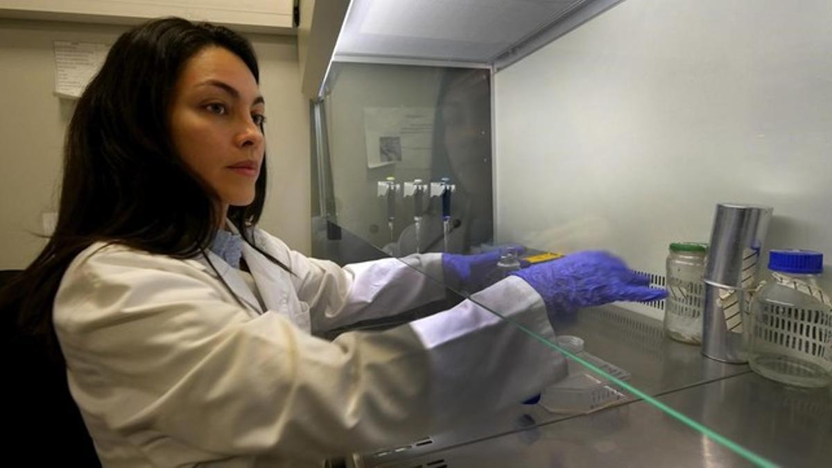 Maria Isabel Castellanos en el laboratorio de la Universitat Politecnica.