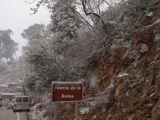 Memes, bromas y algún 'fake' de la nevada en Málaga.