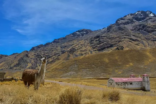 Un paseo por La Rinconada, la ciudad más alta del mundo