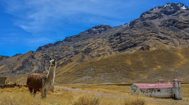 Un paseo por La Rinconada, la ciudad más alta del mundo