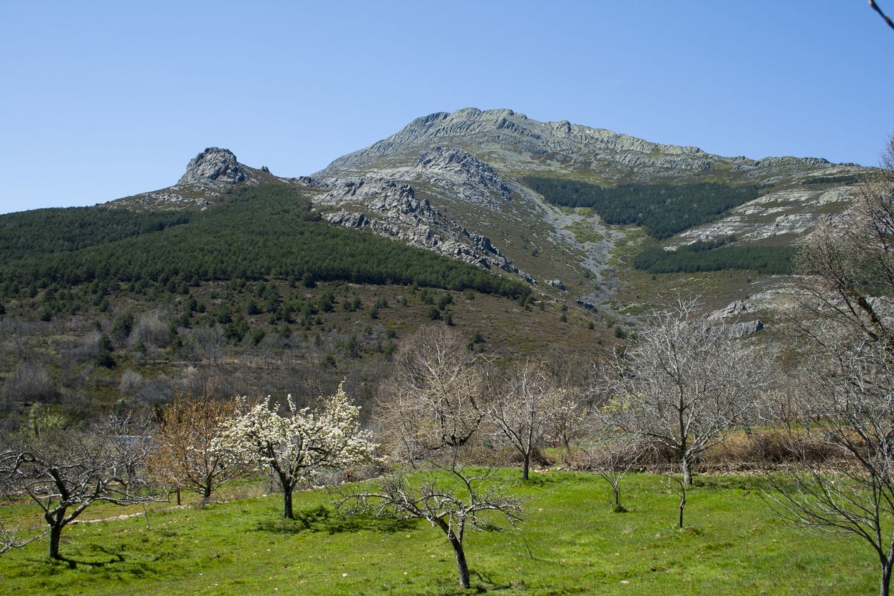 Pico Ocejón, Guadalajara.