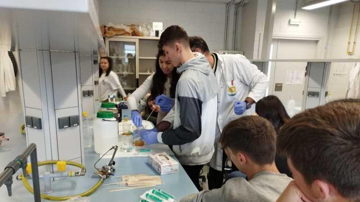 Una imatge d'arxiu d'una classe de química de la UdG.