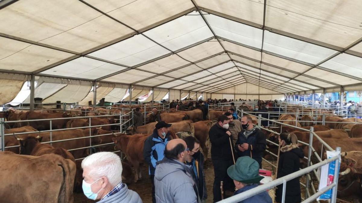 Ambiente en el recinto ferial de Cabañaquinta. | A. Velasco