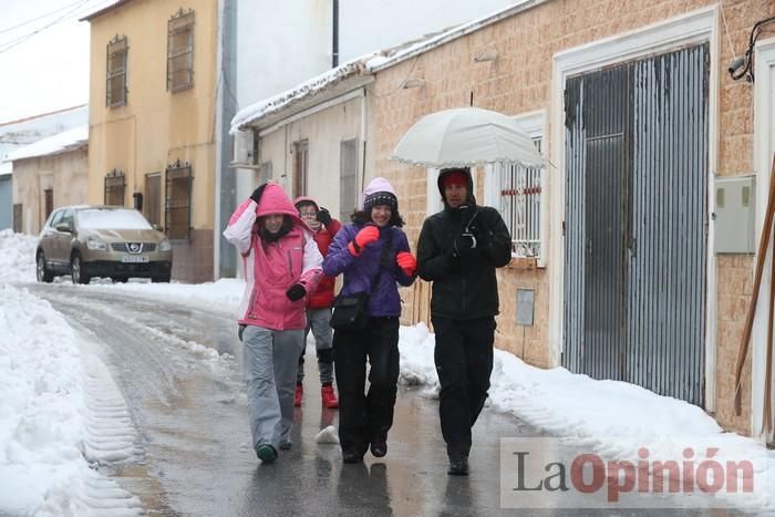 Nieve en Coy y Avilés (Lorca)