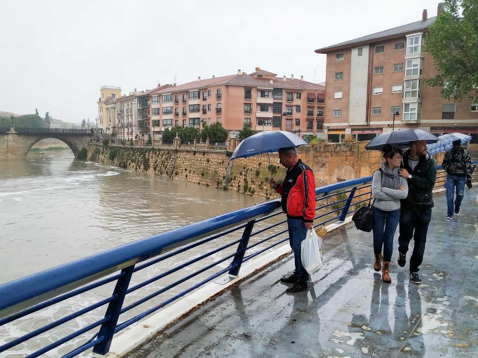 Imágenes de la lluvia en Murcia