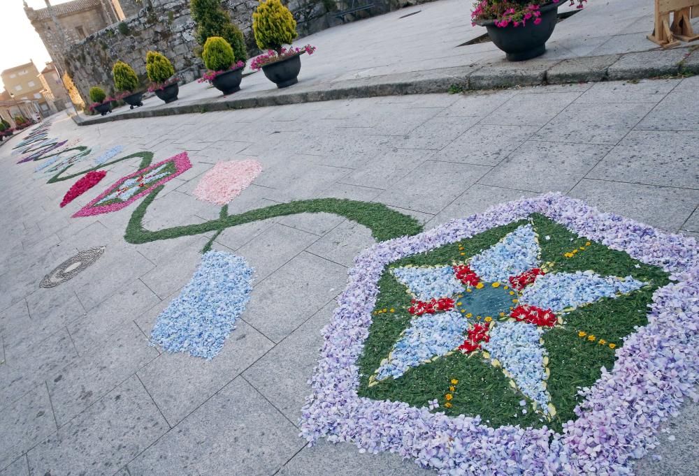 Los tapices de flores cubren Gondomar y Baiona