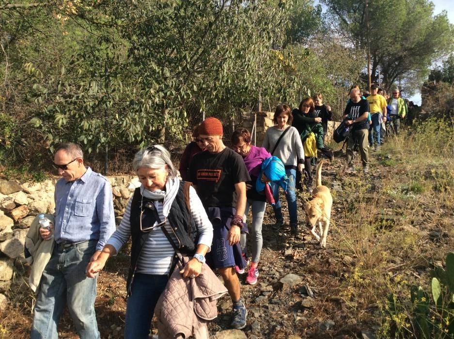 Clam a l'Albera contra el camp de tir militar