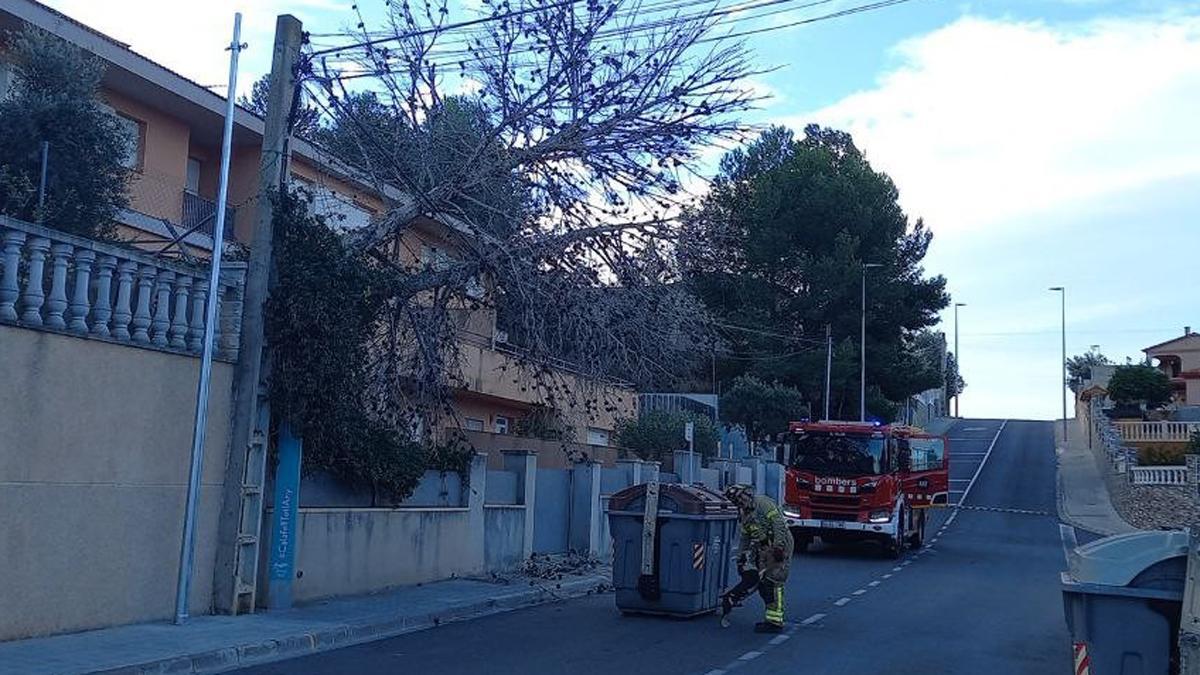 Els bombers atenen 27 avisos pel fort vent a Catalunya en les últimes hores