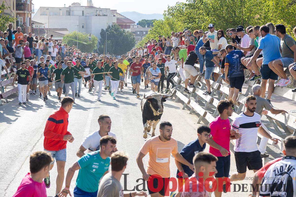 Sexto y último encierro de la Feria Taurina del Arroz en Calasparra