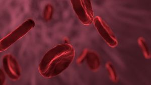 Lipoproteína (a): el colesterol malo de origen genético difícil de controlar