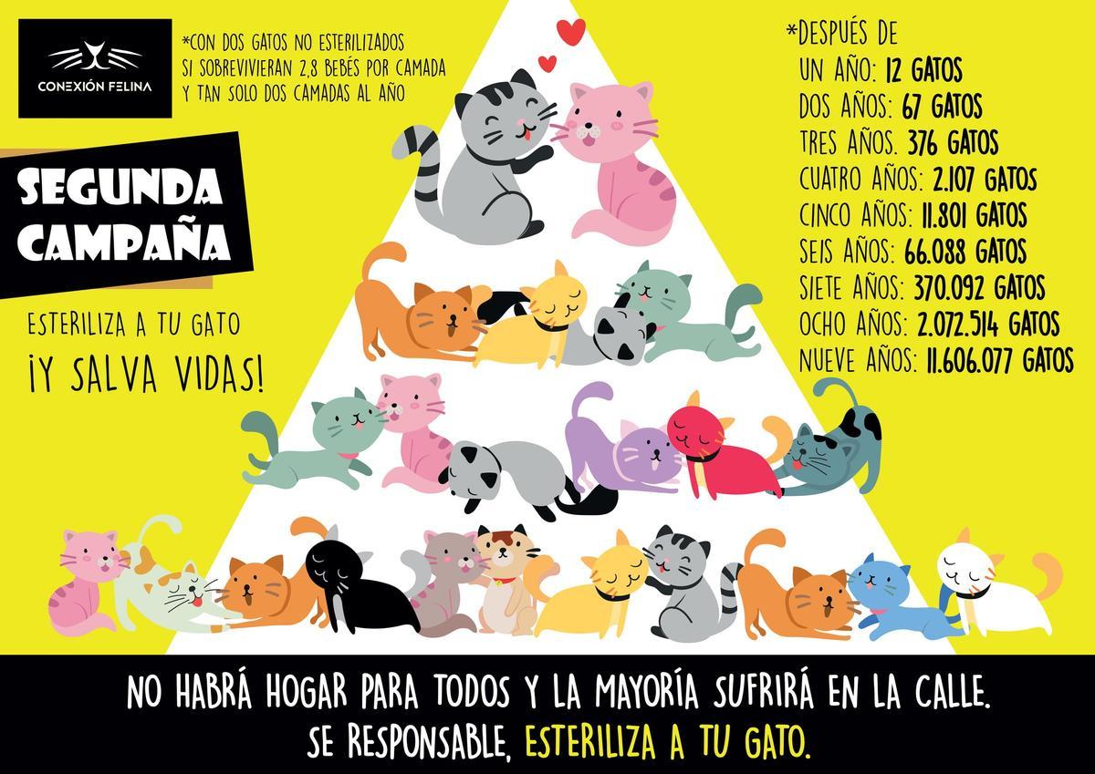 Gráfico que ilustra la campaña.
