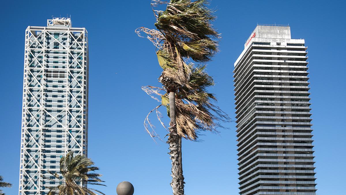 Día de viento en Barcelona
