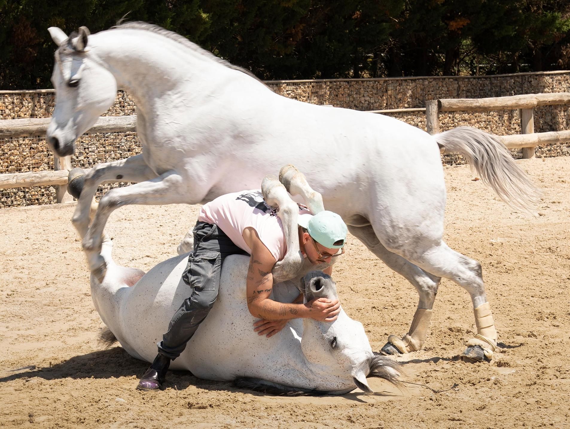 O prestixioso adestrador Santí Serra Camps, coñecido internacionalmente como 'o susurrador de cabalos'.