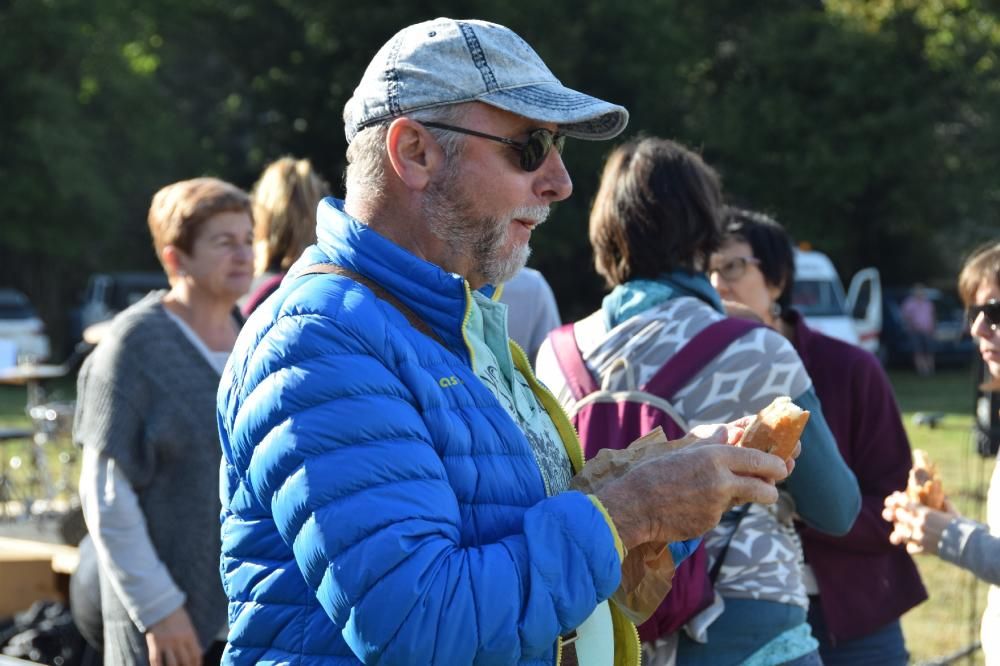 Concurs boletaire de Puigventós