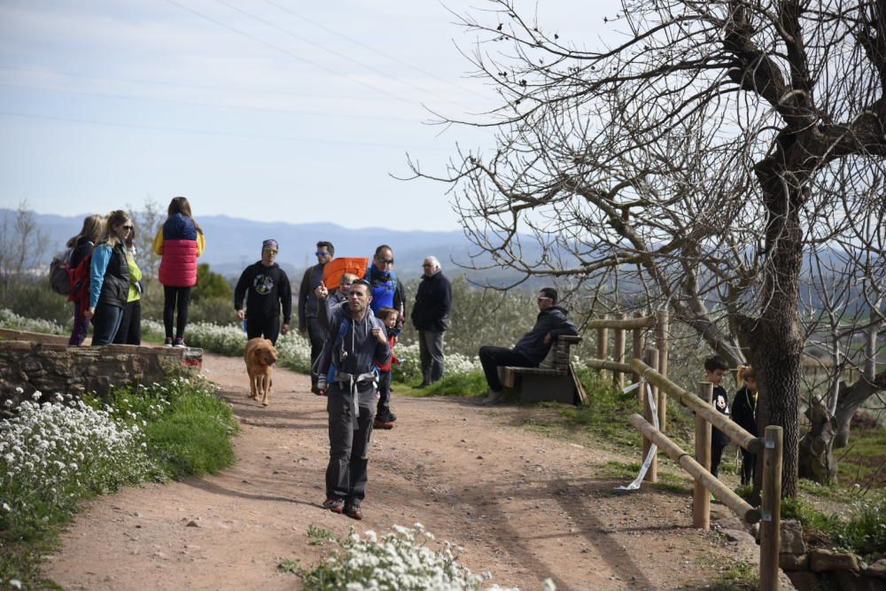 Participants en la Transèquia d'enguany.