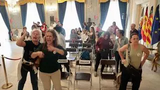 Así ha sido el pleno de Alicante: más espera para Sangueta y polémica por el maltrato animal