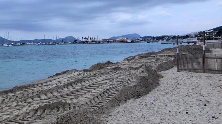Sand auf dem Strand in Port de Pollença verschoben: Küstenbehörde ermittelt gegen Gemeinde auf Mallorca