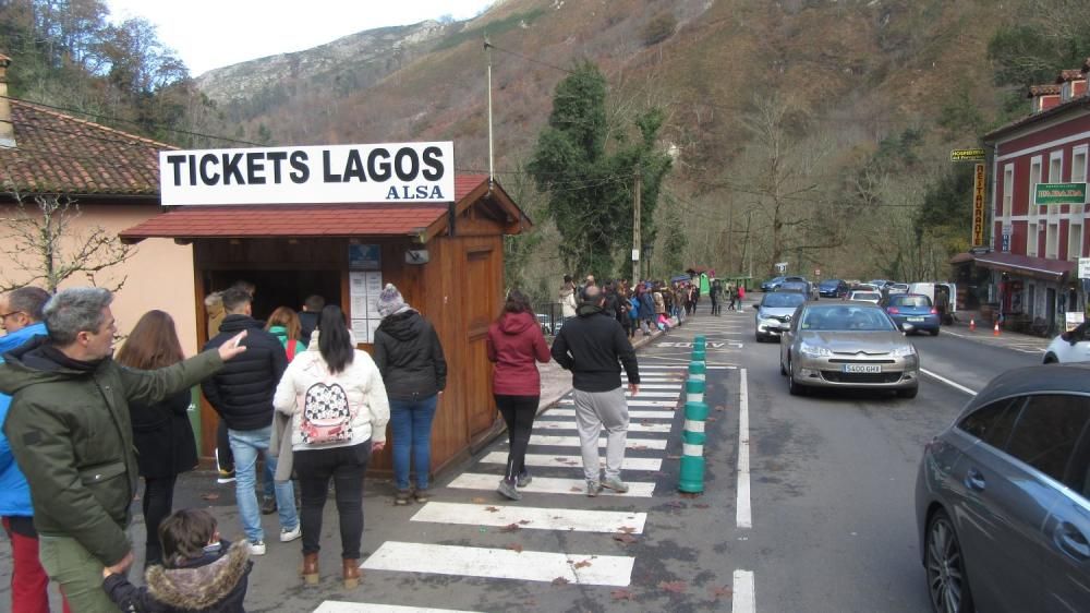 Puente en Asturias: llenazo en Covadonga