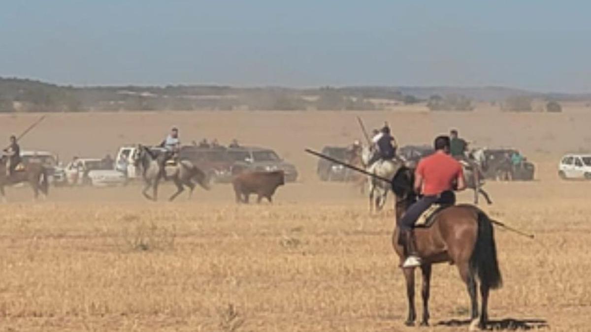 Participantes en el encierro campero de Santovenia. | E. P.