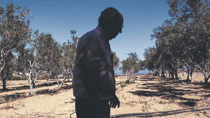 Restricciones al agua de riego en Valle de Guerra, Tejina y Tacoronte