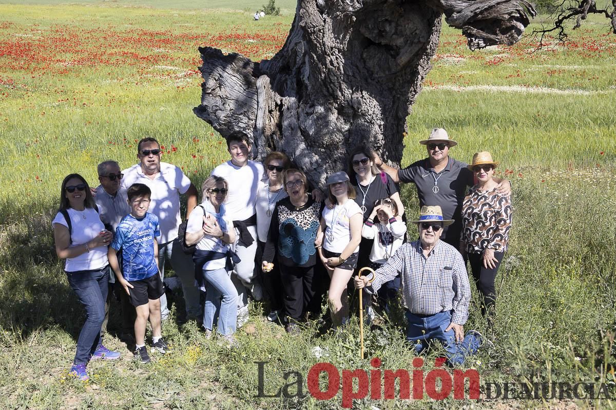 Romería de San Isidro en los Poyos de Celda de Caravaca