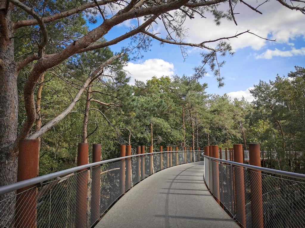 En Limburgo puedes pedalear también por las copas de los árboles.