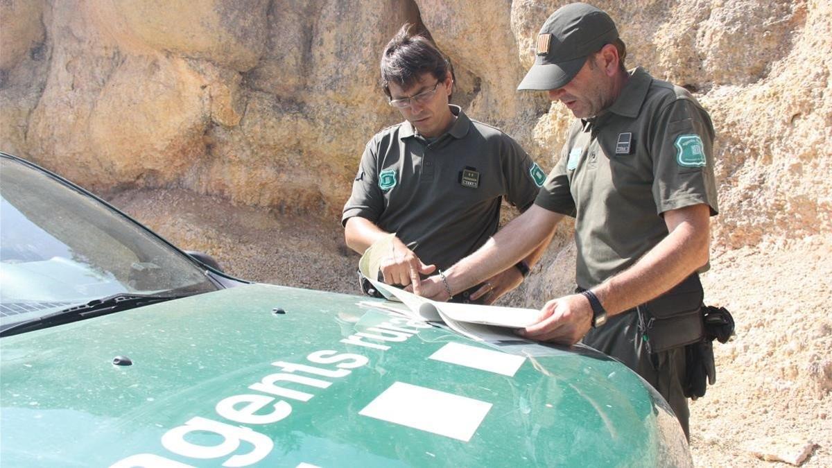 Unos agentes forestales trabajando