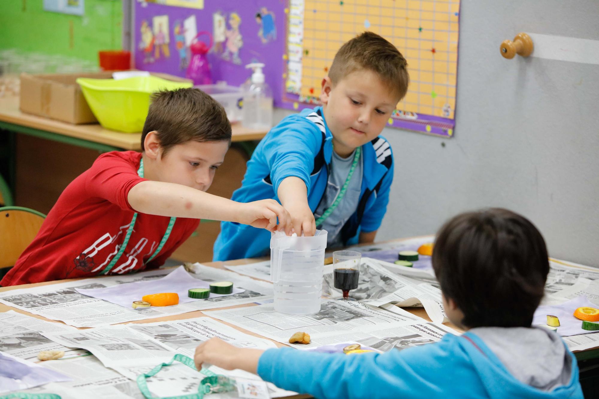 'Ciencia para todos' de la AECC en centros educativos de Ibiza