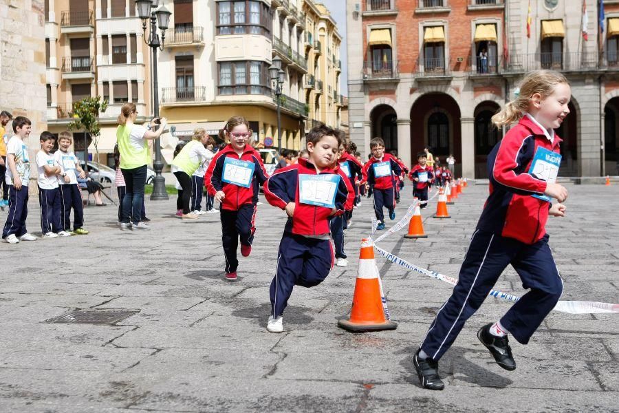 Carrera por Níger