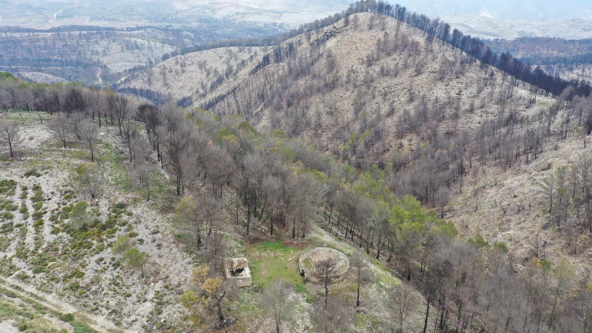 El nevero de Dalt, intacto pese a estar rodeado de pinos carbonizados