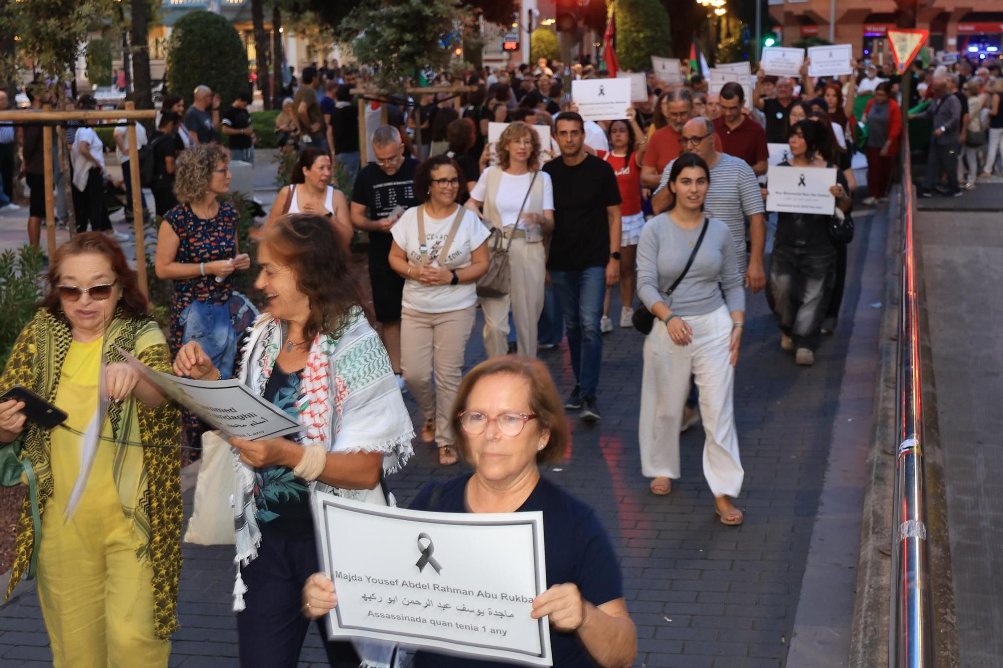 Galería de imágenes: Castellón sale a la calle en defensa de Palestina