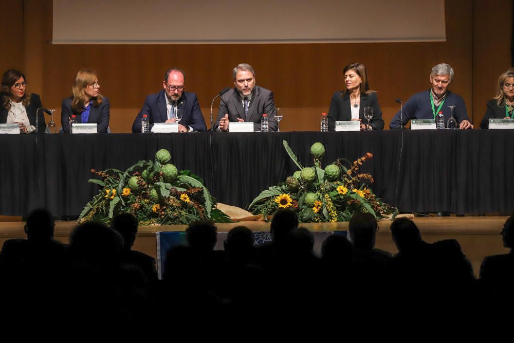 Orihuela acoge hasta el viernes el X Simposio Internacional de la Alcachofa con ponencias, stands y los mayores expertos en este cultivo estrella en la Vega Baja.