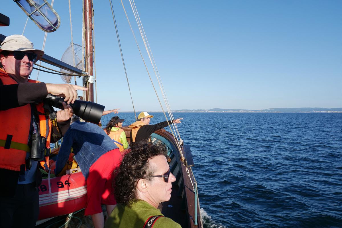 Tripulantes del barco «Chasula» durante uno de los avistamientos de orcas en Arousa.