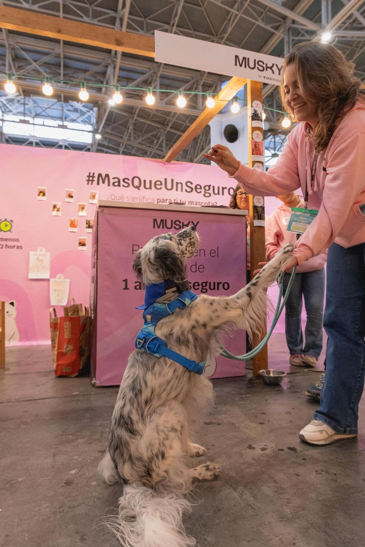 Mucho más que un seguro de salud para mascotas