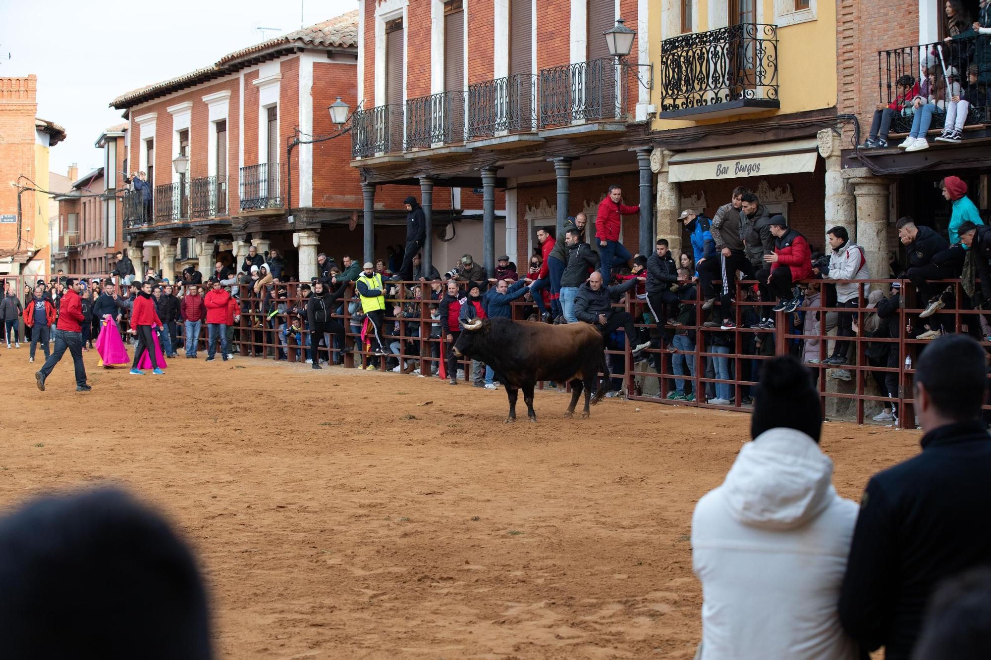 GALERÍA | Villalpando vibra con el "Toro de la Purísima"