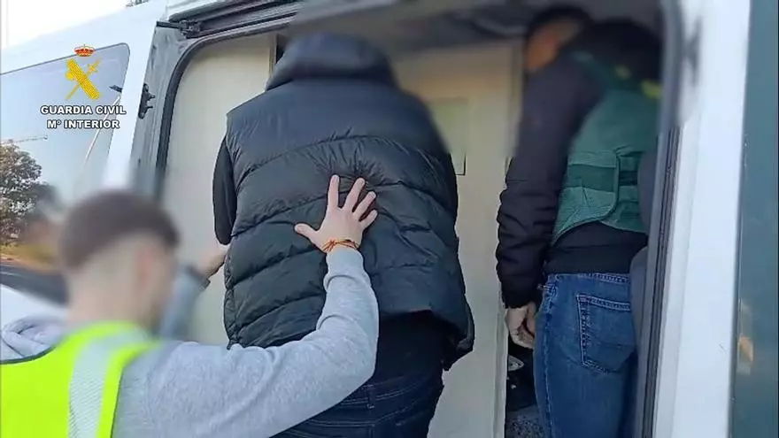 Clausuran cinco clubes cannábicos en Torrevieja usados para traficar con droga