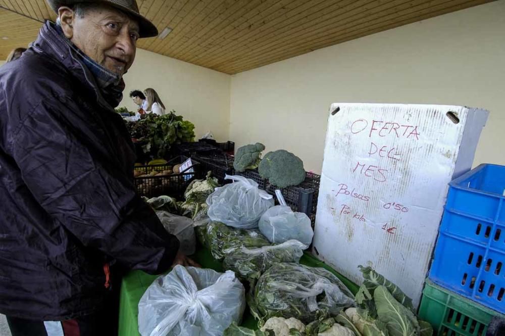 Mercado de berros a 1 euro en Ingenio