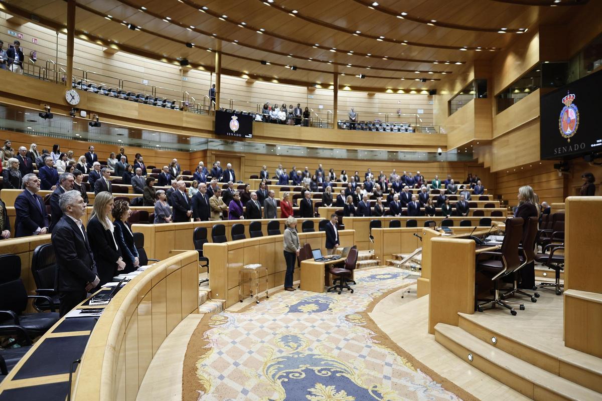El Senado durante la celebración de un pleno.